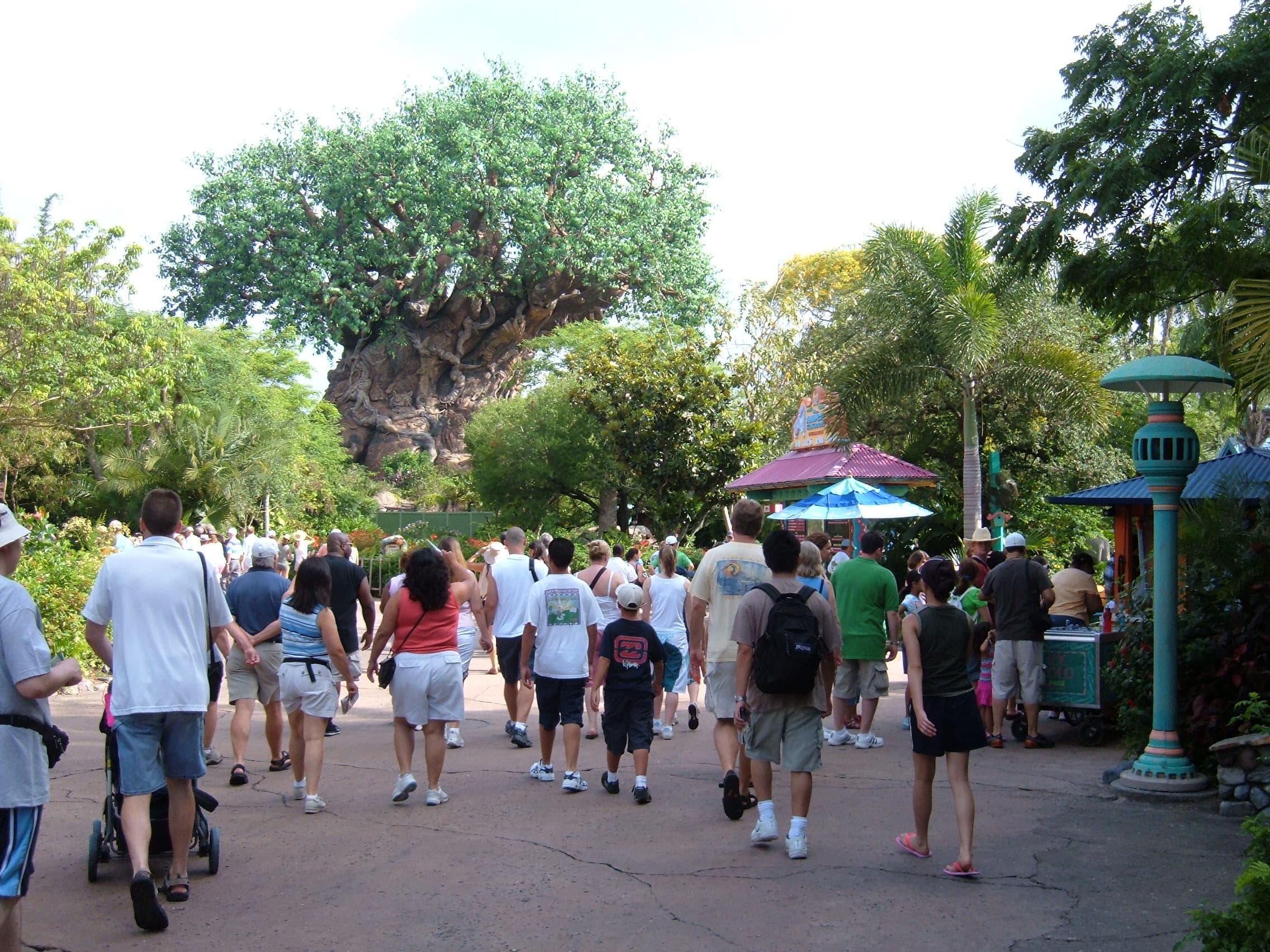 Animal Kingdom